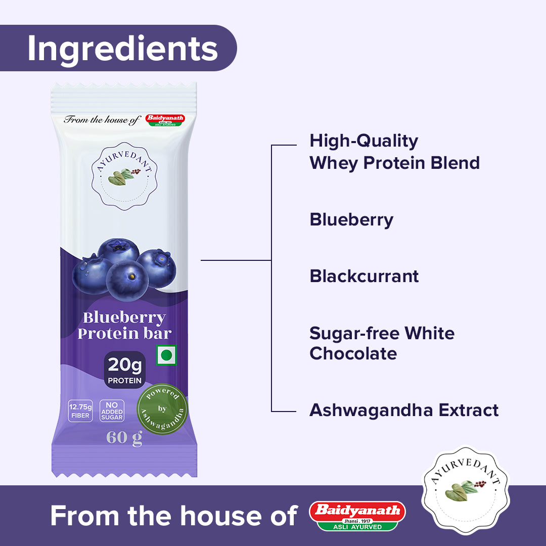 Ayurvedant Blueberry Protein Bars Pack of-6