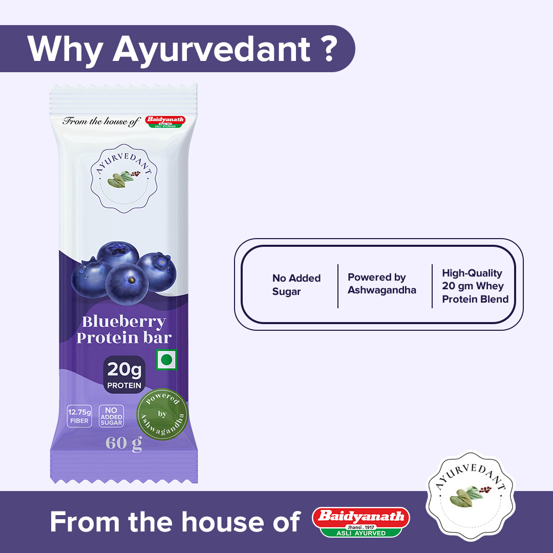 Ayurvedant Blueberry Protein Bars Pack of-6