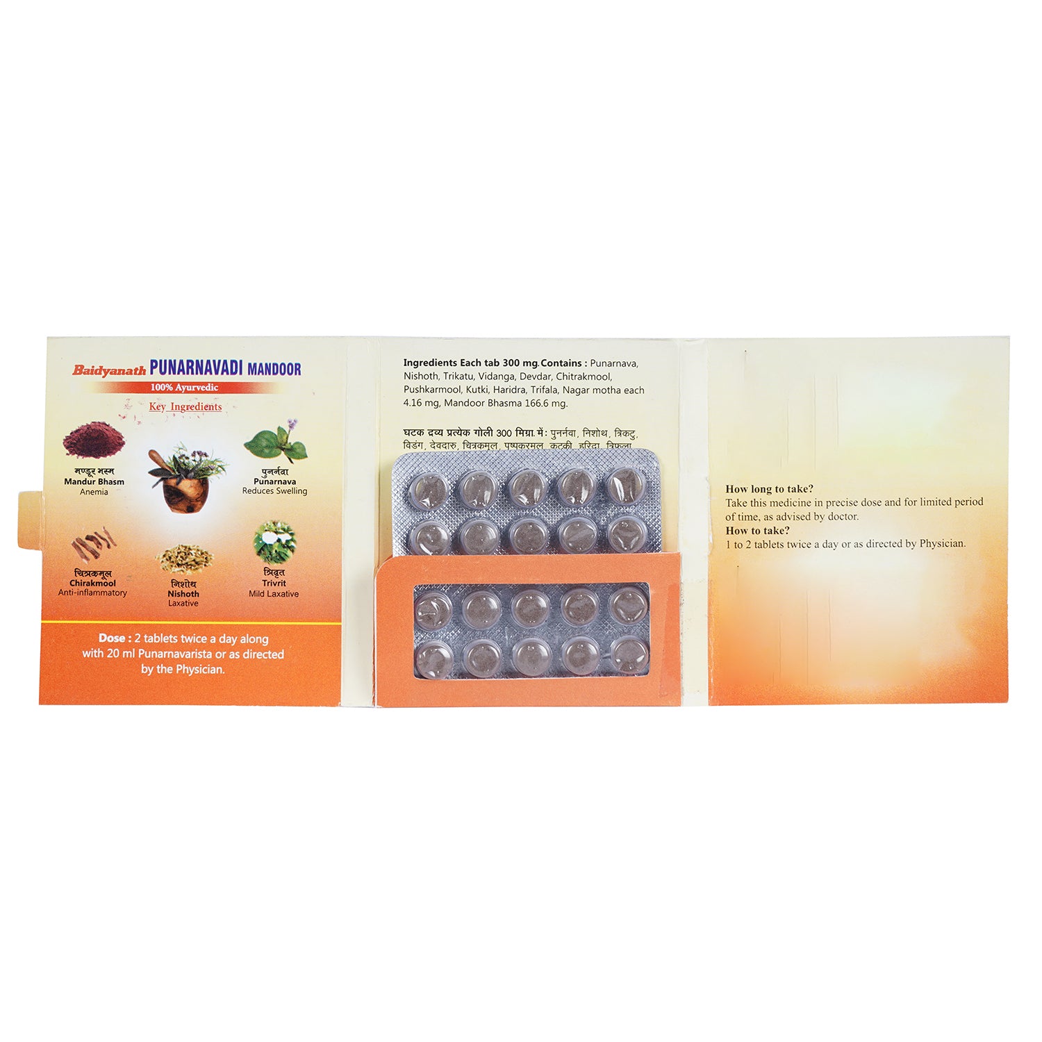 Baidyanath Punarnawadi Mandoor