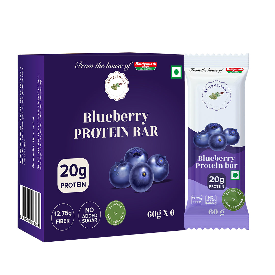 Ayurvedant Blueberry Protein Bars Pack of-6