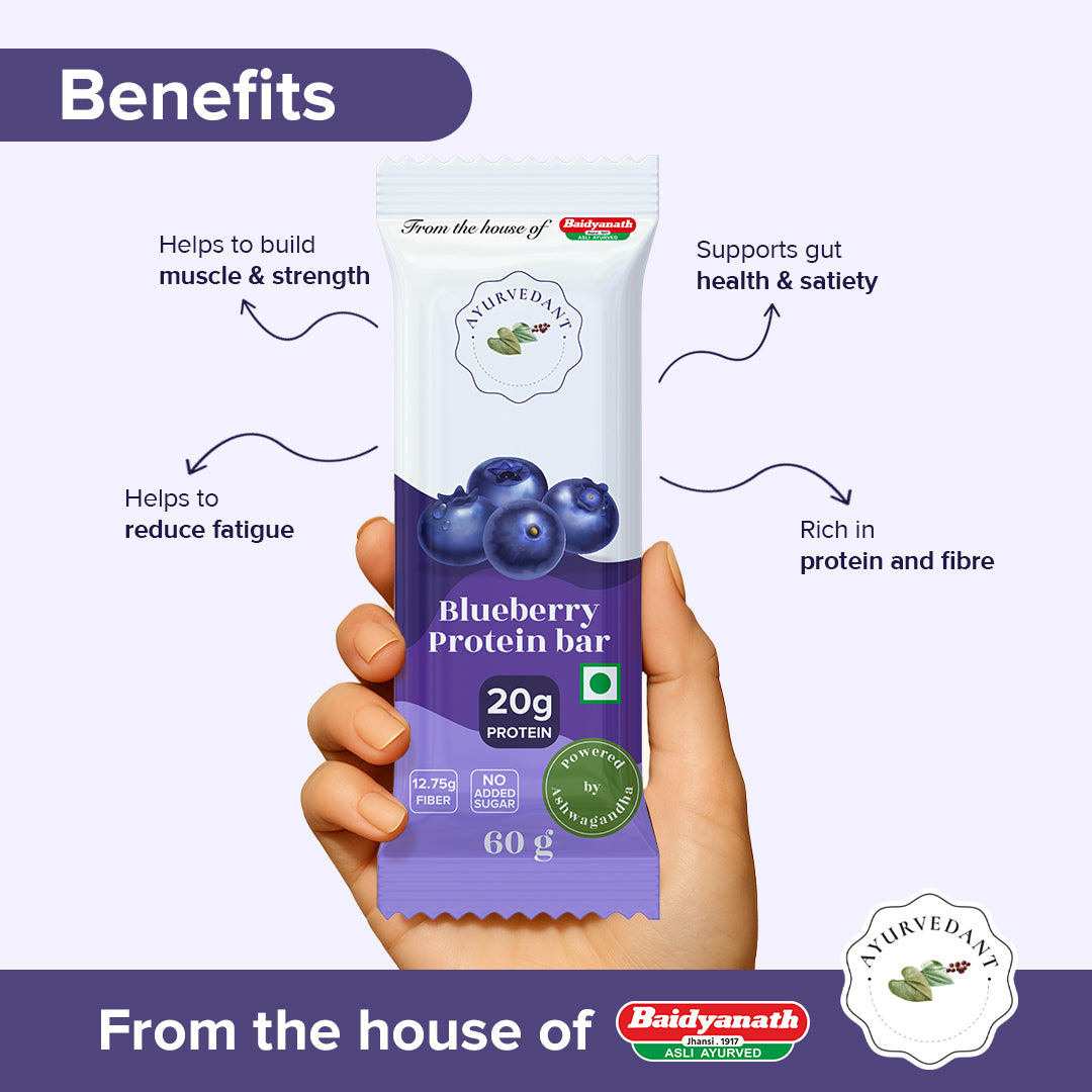 Ayurvedant Blueberry Protein Bars Pack of-6
